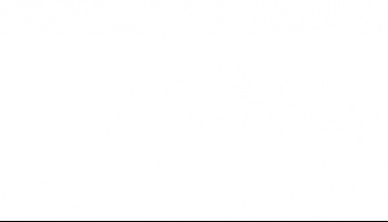 Load failed